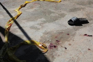 Xả súng đẫm máu tại Brazil khiến nhiều người thương vong Xả súng đẫm máu tại Brazil khiến nhiều người thương vong