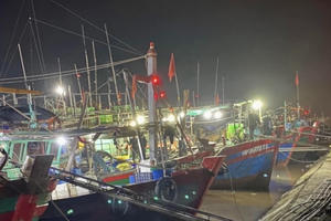 Hải Phòng: Xem xét, xử lý trách nhiệm người đứng đầu không thực hiện nghiêm túc công tác chống khai thác IUU