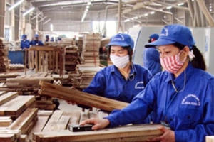 Cổ phiếu Gỗ Trường Thành (TTF) tiếp tục trong diện kiểm soát, có khả năng bị hủy niêm yết