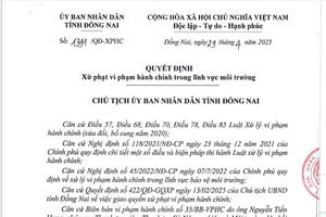 Công ty Tấm lợp Đồng Nai bị xử phạt gần 400 triệu, buộc di dời khỏi KCN Biên Hòa 1
