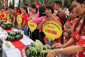 Lễ hội Đền Hùng 2019: Đặc sắc thi gói bánh chưng, bánh giầy