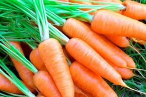 Chống ung thư cổ tử cung bằng thực phẩm dễ kiếm