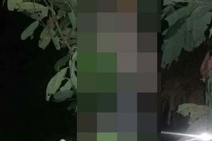 Đắk Lắk: Người dân hoảng hồn khi phát hiện người đàn ông treo cổ trong rừng