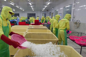 Tầm nhìn chiến lược ngành thuỷ hải sản và nông nghiệp xuất khẩu của Cà Mau