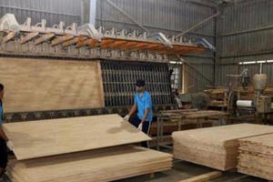 Bộ Tài chính thành lập đoàn kiểm tra xác minh có hay không việc gỗ ván ghép ùn ứ tại cảng vì bị áp thuế 25%