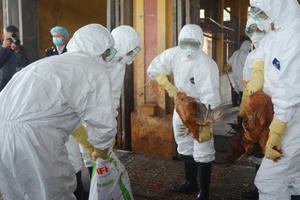 Hà Tĩnh ghi nhận thêm ổ dịch cúm gia cầm