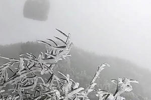 Băng giá phủ trắng đỉnh Fansipan