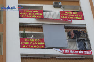 Địa ốc 7AM: Dân chung cư COWA bực vì căn hộ biến thành văn phòng , thị trường BĐS đang ở giai đoạn cuối chu kỳ?