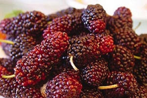 Những thực phẩm giúp thanh lọc cơ thể Những thực phẩm giúp thanh lọc cơ thể