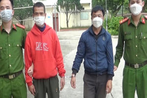 Thanh Hoá: Vào rừng chăn thả trâu rồi trộm luôn trâu người khác