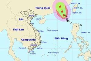 Cập nhật mới nhất cơn bão số 8