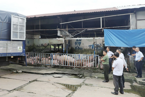 Xử phạt 45 triệu đồng, tiêu hủy 89 con heo chứa chất tạo nạc của một chủ lò heo ở Đồng Nai