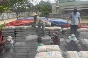 UBND tỉnh Hà Tĩnh yêu cầu báo cáo vụ xi măng "hóa đá" tại xã Lộc Yên