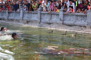 Khán giả cười ngả nghiêng xem trò bắt vịt, bắt lợn