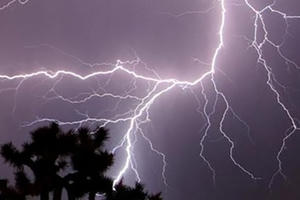 Thái Nguyên: Thiếu nữ tử vong do sét đánh khi đi hái chè