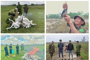 Hà Tĩnh: Quyết liệt đấu tranh, ngăn chặn vi phạm về động vật hoang dã và khai thác thủy sản tận diệt