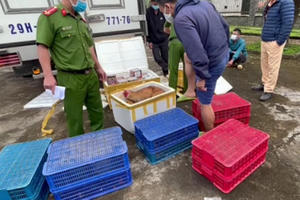 Quảng Nam: Bắt quả tang vụ vận chuyển pháo nổ và động vật hoang dã