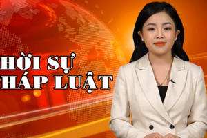 Bản tin thời sự Pháp luật: Chính thức áp dụng việc dùng giấy khai sinh, đăng ký kết hôn điện tử