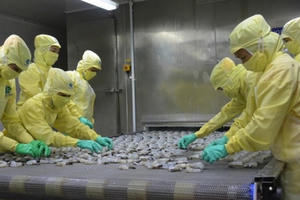 Doanh nghiệp ở TP HCM nợ thuế hơn 30.170 tỷ đồng