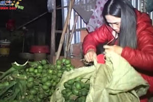 Quảng Trị: Rộn ràng chợ Tết vùng cao