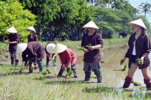 Bỏ ngỏ thế mạnh du lịch hướng về nông thôn?