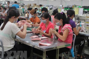 Những “cánh cò” xa xứ