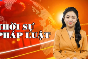 Bản tin Thời sự Pháp luật ngày 13/3: Quy trình công nhận F0, cấp giấy hưởng BHXH