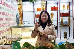 Lô sâm tươi trị giá hơn 6 tỷ bày bán tại chợ sâm Quảng Nam