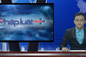 Bản tin Pháp luật Plus 24/7