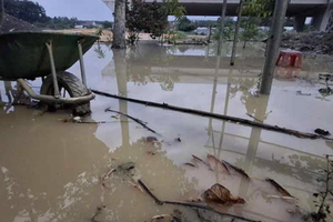 Đồng Nai yêu cầu xử lý nhanh tình trạng ngập khi thi công dự án giao thông