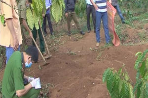 Lâm Đồng: Giết người dấu xác tại vườn cà phê