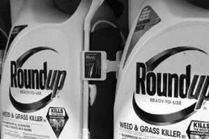 Glyphosate, loại chất diệt cỏ bị nghi kỵ toàn cầu
