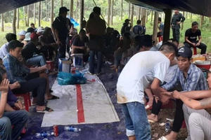 Khởi tố 12 đối tượng đánh bạc trong rừng cao su Khởi tố 12 đối tượng đánh bạc trong rừng cao su