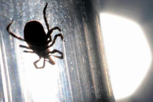 Bác sĩ cảnh báo loại virus chết người tái xuất ở Trung Quốc