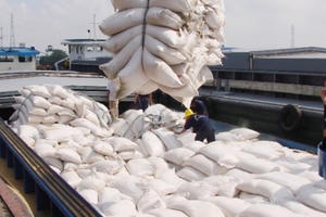 Phó Thủ tướng kết luận về việc xuất khẩu gạo