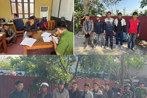 Hải Phòng: Phát hiện nhiều đối tượng dương tính với ma tuý tại cơ sở cai nghiện