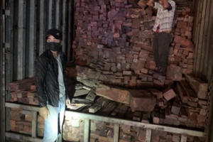 Tóm gọn hàng loạt xe tải vận chuyển gỗ lậu và đá quý trị giá 29 tỷ đồng