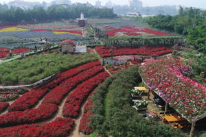 Flycam: "Thiên đường" hoa giữa lòng Hà Nội Flycam: "Thiên đường" hoa giữa lòng Hà Nội