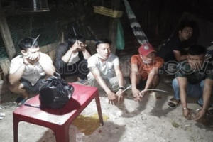 Triệt phá “ổ bài bạc” ăn tiền trong quán cà phê