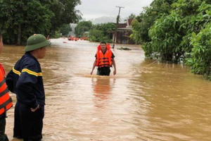 Miền Tây xứ Nghệ tan hoang, ngập ngụa trong bùn sau khi lũ rút