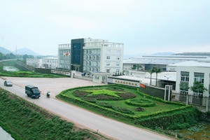 Bắc Giang vươn lên từ những khó khăn, thách thức