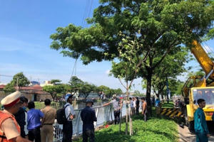 Xe ben tông gãy thanh lan can lao xuống kênh Tàu Hủ