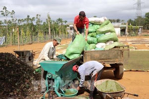 Đưa công nghệ hỗ trợ kết nối thông tin, tiêu thụ nông sản ở Đắk Nông