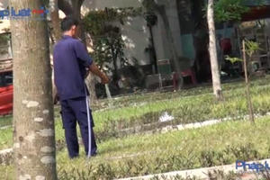 TP HCM:  Công ty TNHH Giao thông - Dịch vụ Tiểu Tân bơm nước cống lên tưới cây trong công viên