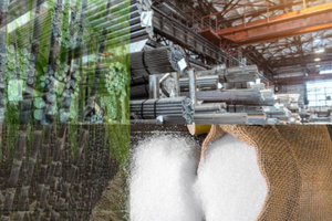 Thị trường hàng hóa khởi sắc