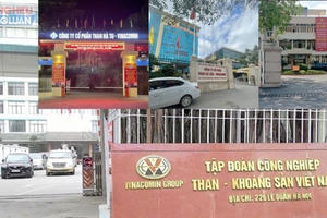 Quy định việc sáp nhập 2 công ty con vào Công ty mẹ - Tập đoàn Công nghiệp Than - Khoáng sản Việt Nam