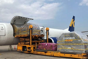 Gần 1,3 triệu liều vắc-xin Covid-19 Pfizer dự kiến về Việt Nam trong tháng 9 Gần 1,3 triệu liều vắc-xin Covid-19 Pfizer dự kiến về Việt Nam trong tháng 9