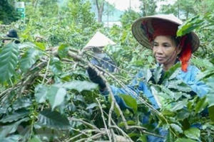 Quy định mới về chuẩn nghèo đa chiều giai đoạn 2021 - 2025