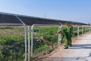 Cắt hàng trăm tấm lưới B40 trên cao tốc Bắc Nam lấy tiền tiêu xài