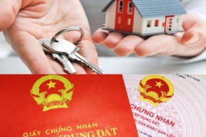 Lưu ý khi mua đất không đủ điều kiện tách sổ